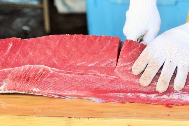 海鮮問屋 かたつむり 新鮮な海の幸を味わえる居酒屋 美観堂