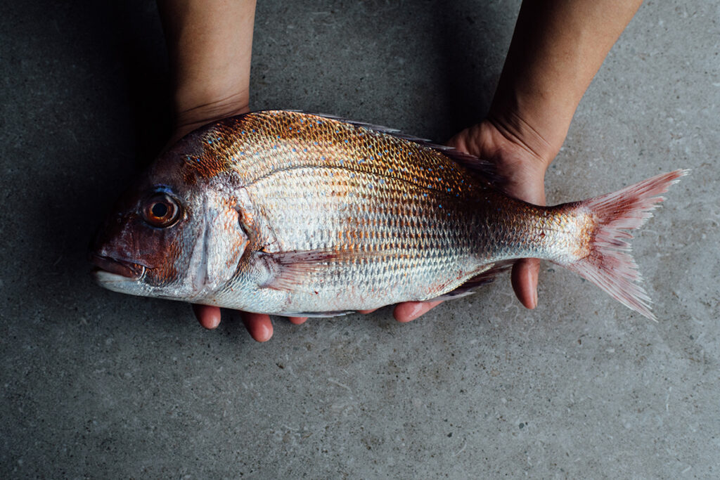 倉敷美観地区の日本料理店『Bricole（ブリコール）』の食材
